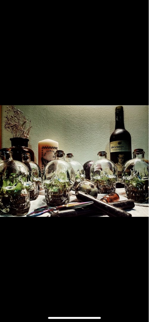 Closed Terrarium Name Our Origin Skull Glass bottles, Furniture