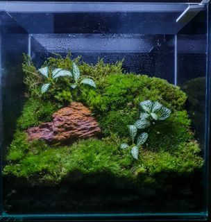 (Category: ) located in . Submitted by chuary_pt (Listing ID 1184230985, Image 1). Description: .