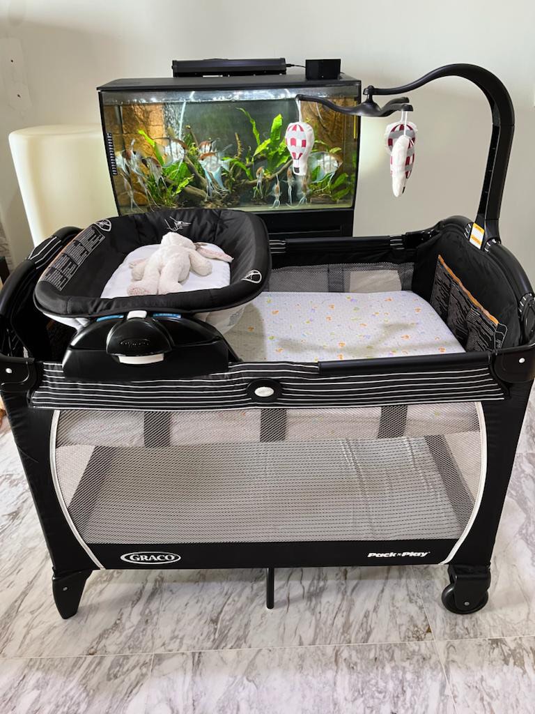 Graco, Babies & Kids, Baby Nursery & Kids Furniture, Cots & Cribs on ...