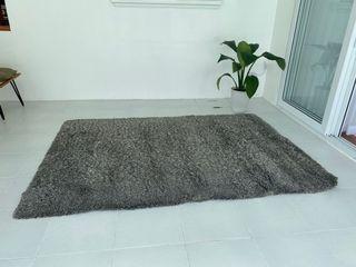 Grey comfy carpet