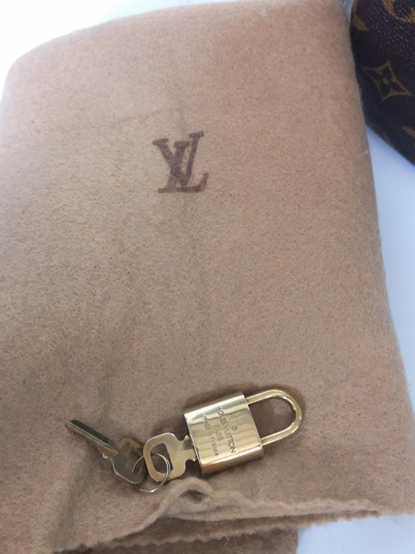 Jual Tas Louis Vuitton Speedy 25 Original Authentic Second Preloved Branded  LV Bag, Barang Mewah, Tas & Dompet di Carousell