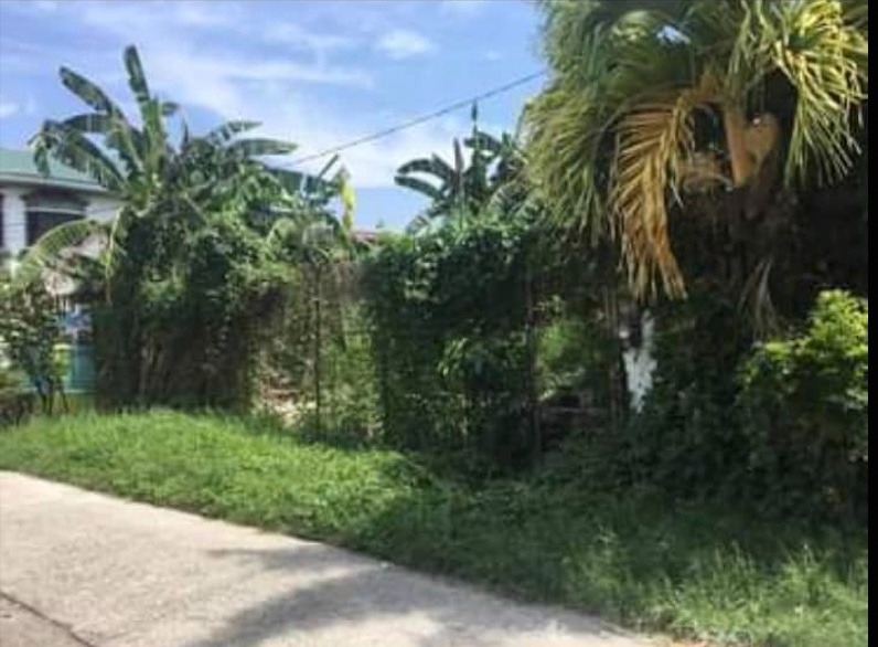 LOT FOR SALE GREENPARK VILLAGE CAINTA RIZAL, Property, For Sale, Lot on