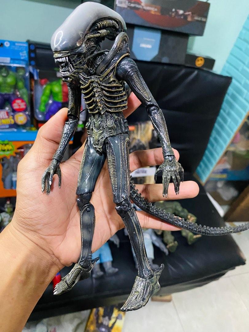 Neca - Alien Vs Predaor, Hobbies & Toys, Toys & Games on Carousell