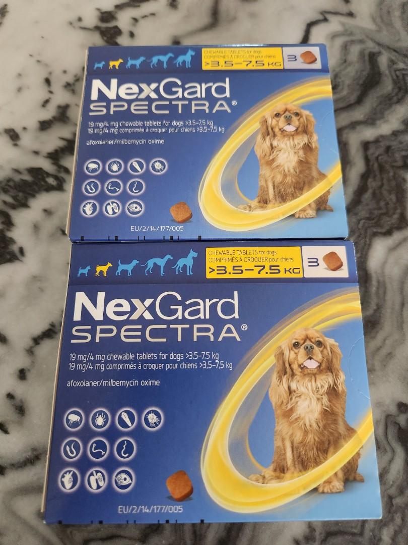 Nexgard spectra 19 mg top