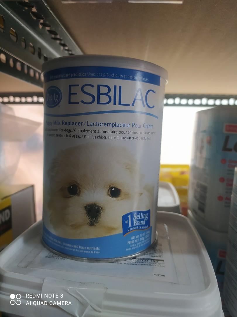 How Do You Make Esbilac Puppy Formula