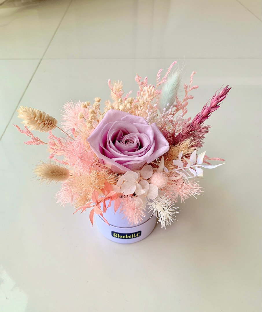 Preserved Flowers Rose Bloom Box Pastel, Hobbies & Toys, Stationery