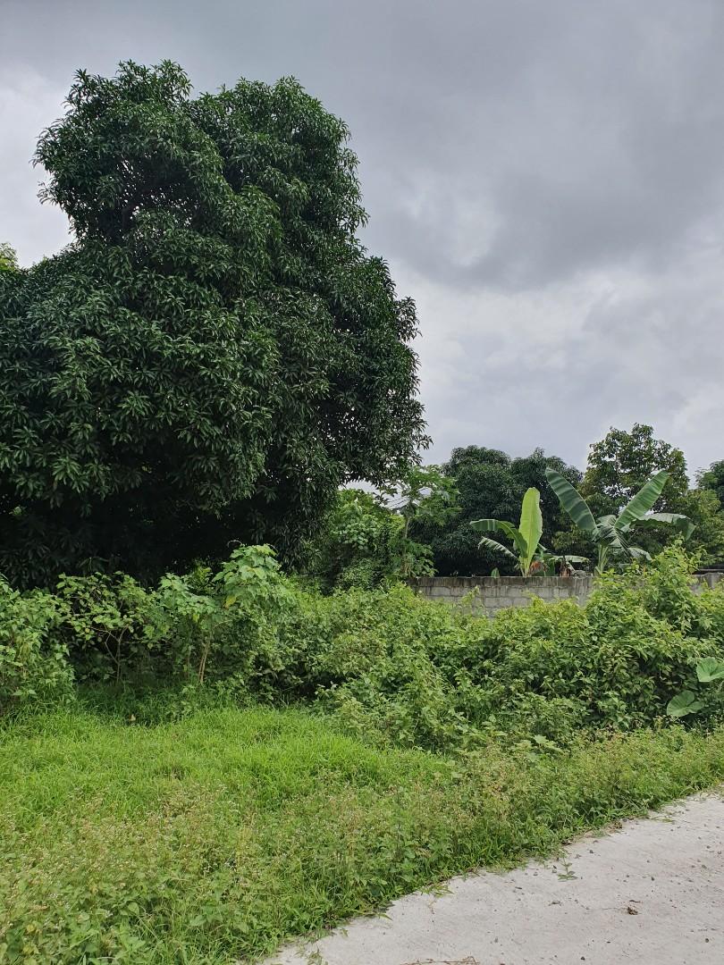 Residential Lot in Lalaan Silang Cavite, Property, For Sale, Lot on