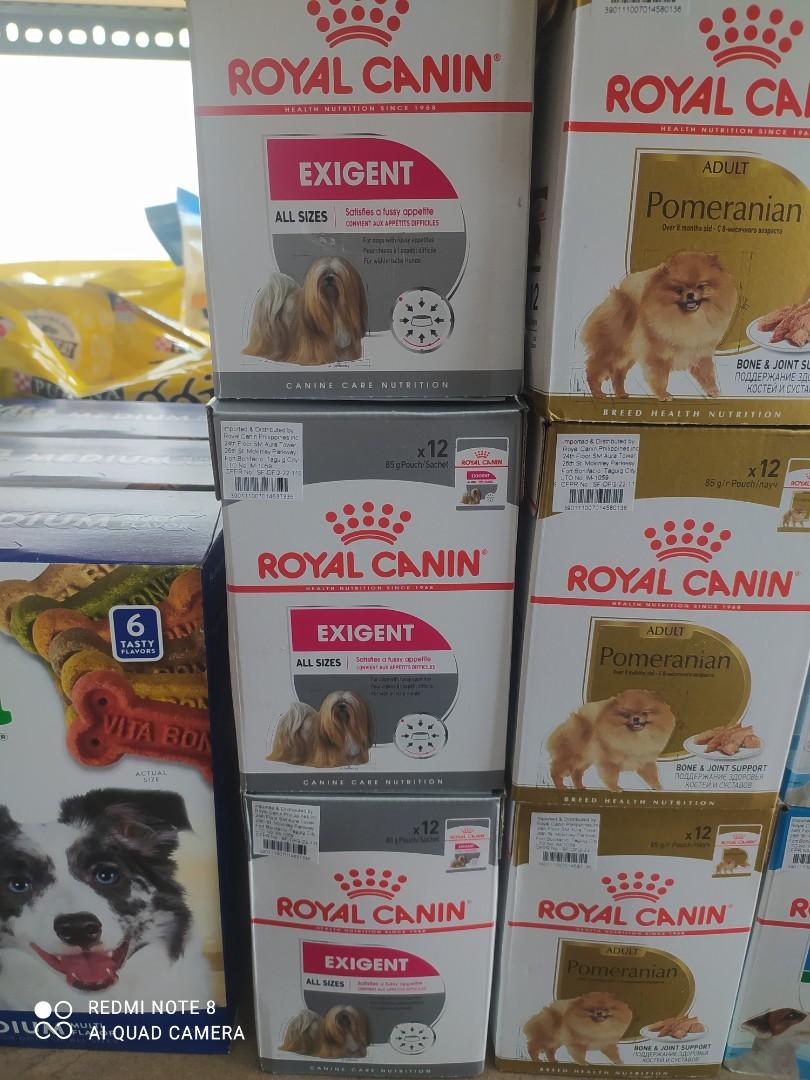 Royal canin exigent dog wet food 85g x 12 / 1box, Pet Supplies, Pet ...
