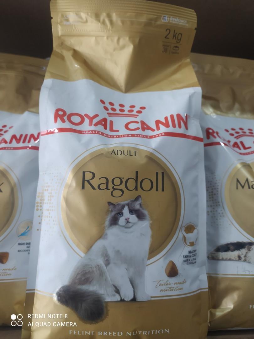Royal canin ragdoll 2kg hotsell