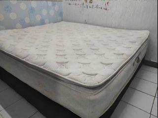 Springbed american pillo