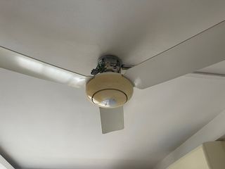 (Category: ) located in . Submitted by lexdino (Listing ID 1184085775, Image 1). Description: .