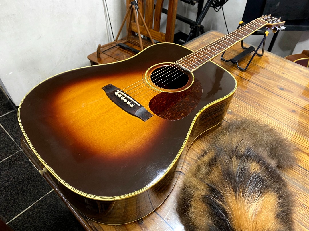 Segovia guitar clearance brand