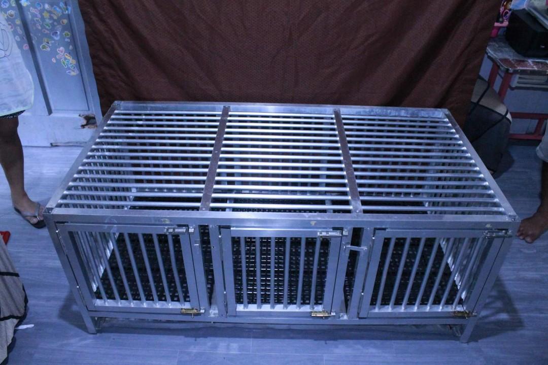 2nd hand dog cage, Pet Supplies, Homes & Other Pet Accessories on Carousell