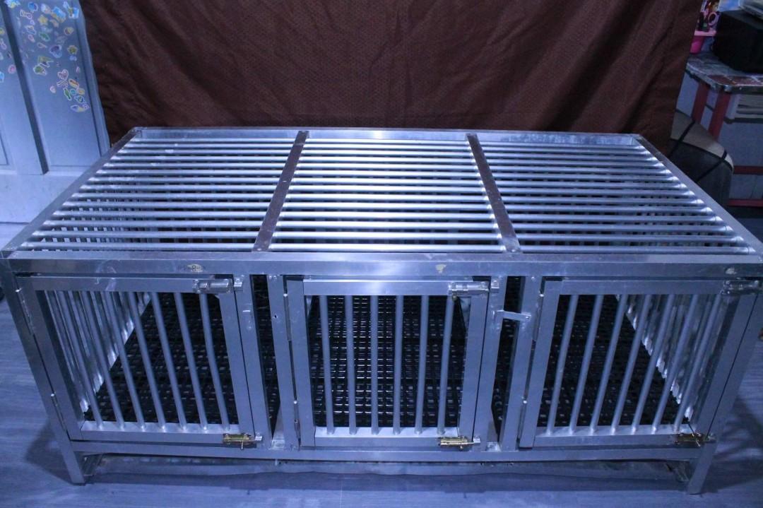 2nd hand dog cage, Pet Supplies, Homes & Other Pet Accessories on Carousell