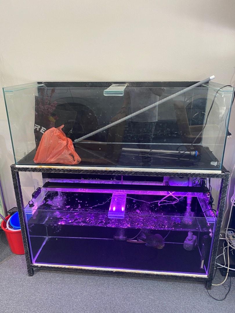 4ft fish tank, Pet Supplies, Homes & Other Pet Accessories on Carousell