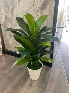 Artificial plants