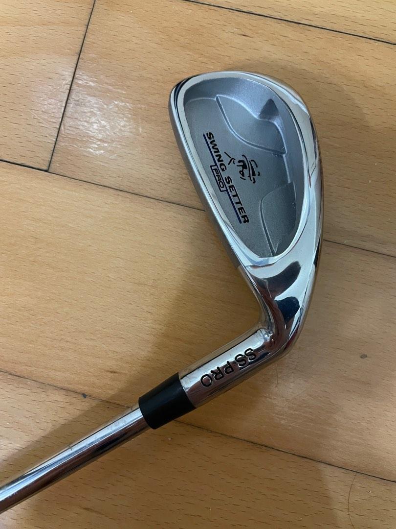 David leadbetter Swing setter pro, 運動產品, 運動與體育, 運動與體育 Golf Carousell