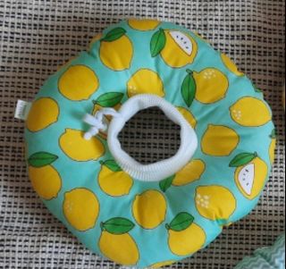 (Category: ) located in . Submitted by pet_accessories (Listing ID 1184407147, Image 1). Description: .