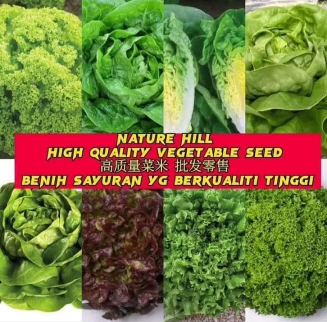 Enza zaden vege seed benih sayur 菜米, Furniture & Home Living, Gardening ...