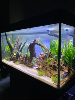 (Category: ) located in . Submitted by cejayg (Listing ID 1184499548, Image 1). Description: .