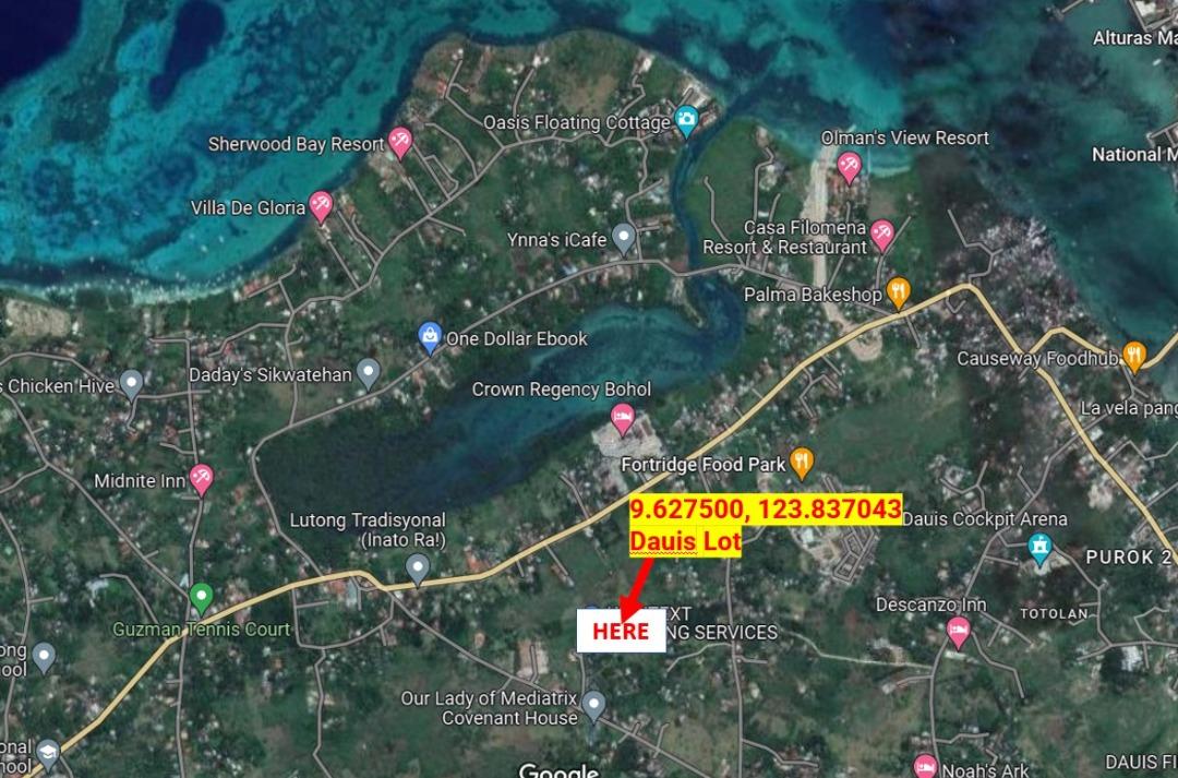 Lot For Sale at Dauis Panglao Island Bohol 1952sqm, Property, For Sale
