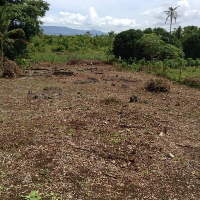 Lot For Sale at Dauis Panglao Island Bohol 1952sqm, Property, For Sale