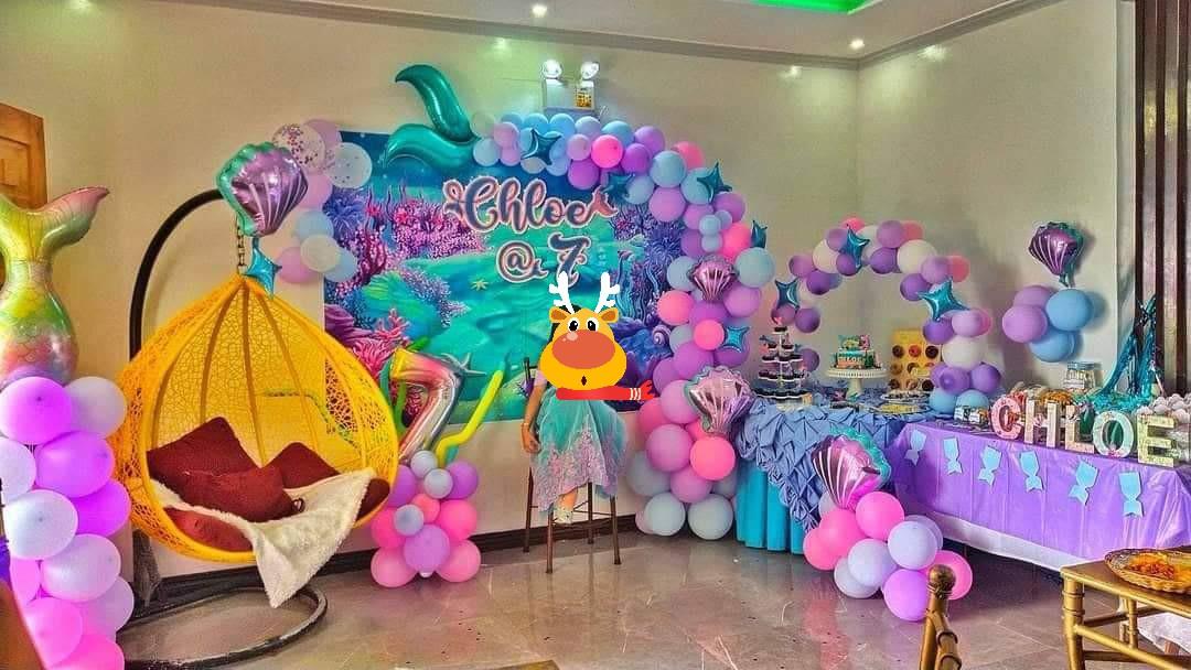 Mermaid Theme/Under the Sea Theme Backdrop only, Hobbies & Toys