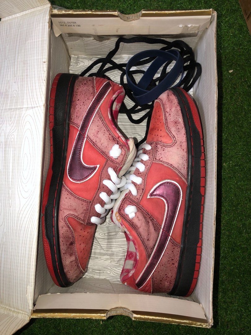 Nike SB Dunk low red lobster, Men's Fashion, Footwear, Sneakers on