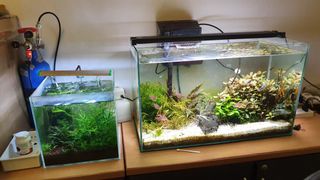 (Category: ) located in . Submitted by Tiguu (Listing ID 1184319064, Image 1). Description: .