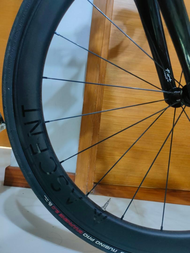 Specialize Allez 54, Sports Equipment, Bicycles & Parts, Bicycles on