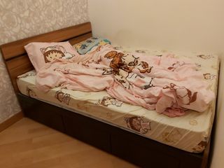 （分類：）位於 。 由 manyyy2007 提交（商品編號 1184695439，圖片 1）。簡介： 。