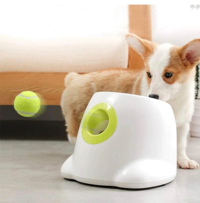 Automatic ball dispenser for dogs clearance