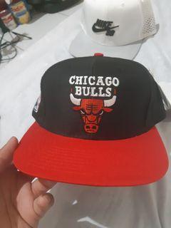 chicago bulls