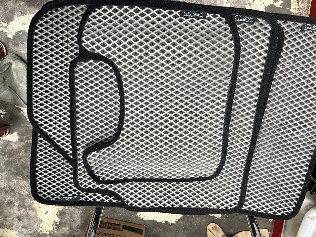 Cicada car mat., Car Accessories, Accessories on Carousell