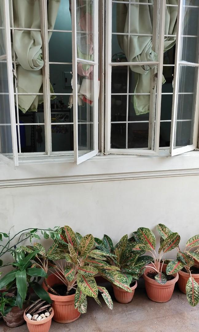 Female Bedspace in Pineda Pasig, Property, Rentals, Apartments & Condos