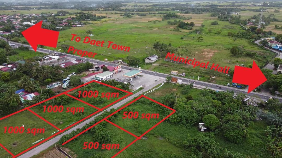for-sale-1000sqm-500-sqm-lots-daet-camarines-norte-nr-new-municipal