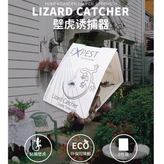 https://media.karousell.com/media/photos/products/2022/9/13/home_lizard_cicak_smart_trap_9_1663075257_802f05b7_progressive