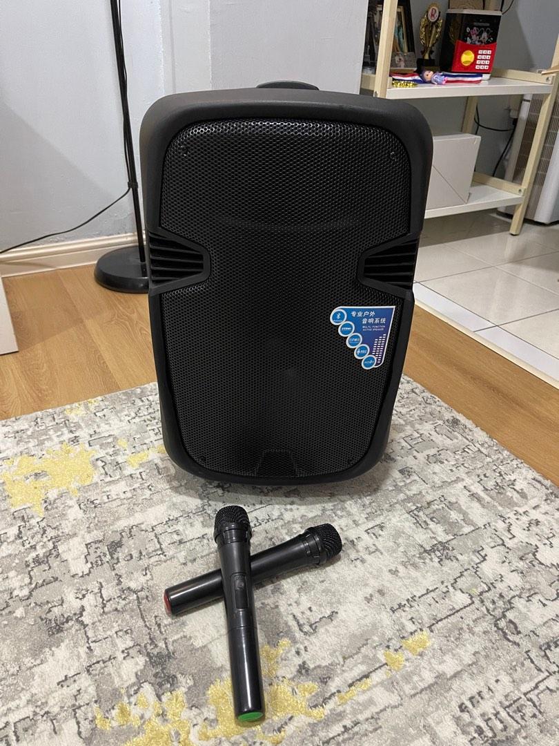 Karmanz speaker sales