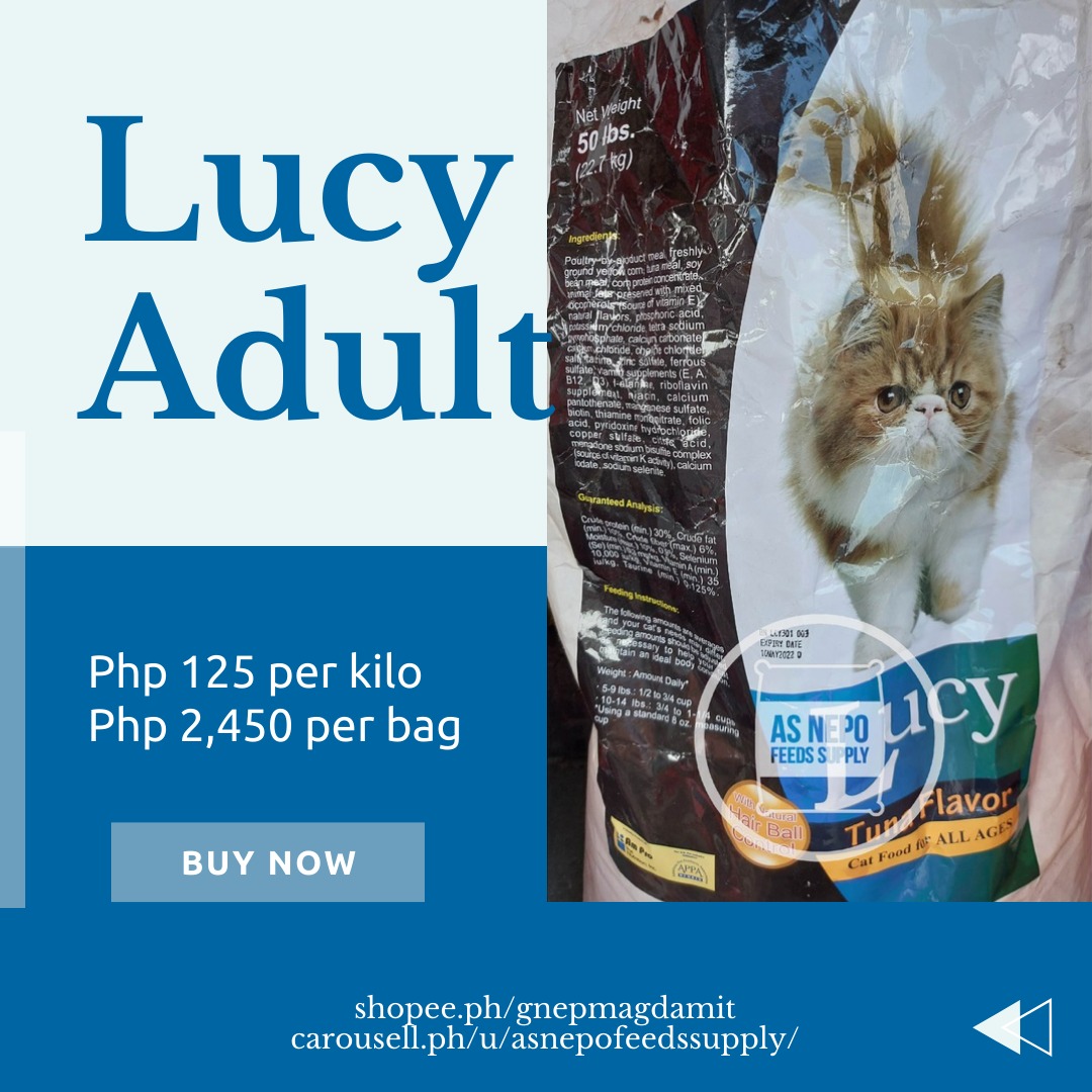 Lucy Cat Food, Pet Supplies, Pet Food on Carousell