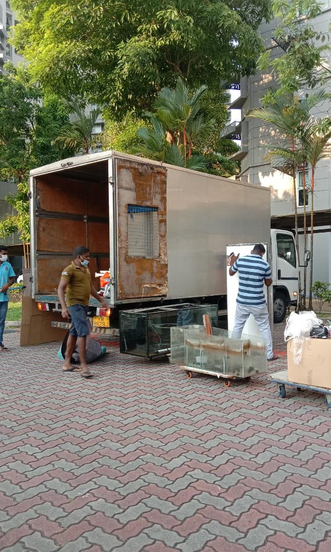 Mover and Disposal and Fish tank mover Hospital bed mover and House