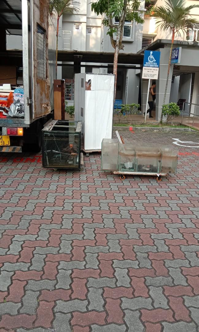 Mover and Disposal and Fish tank mover Hospital bed mover and House