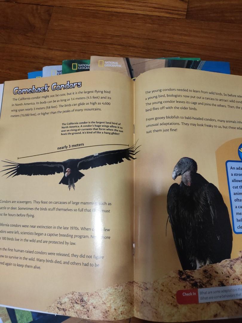 National geographic ladders level 2, Hobbies & Toys, Books & Magazines, Children's Books on