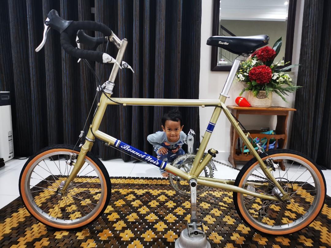 Rare Minivelo 16 inch Alize