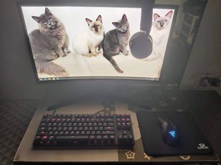(Category: ) located in . Submitted by rexramirez15 (Listing ID 1184686256, Image 1). Description: .