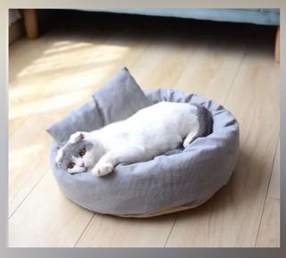 （分類：）位於 。 由 petpet.com 提交（商品編號 1184753189，圖片 1）。簡介： 。
