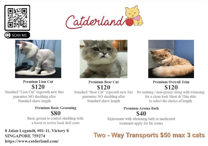 Cat Grooming at Sembawang , Lifestyle Services, Pet Care Services on