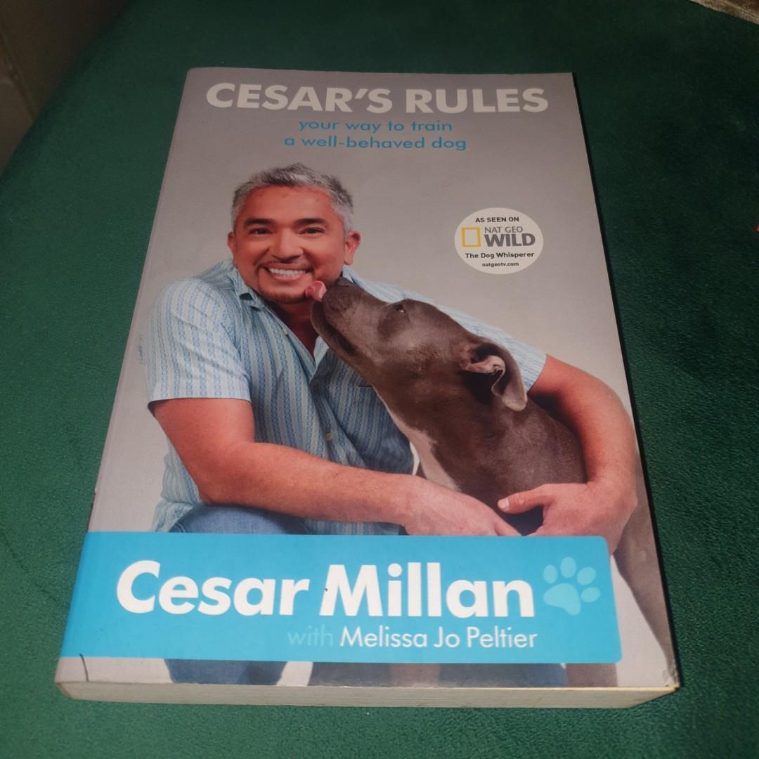 Cesar millan toys sale