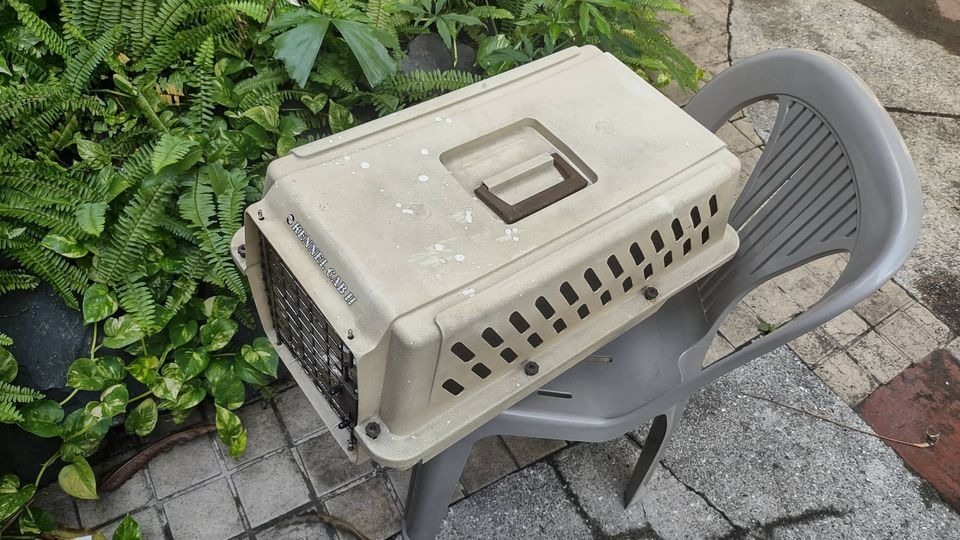 Doskocil Kennel Cab II, Pet Supplies, Homes & Other Pet Accessories on