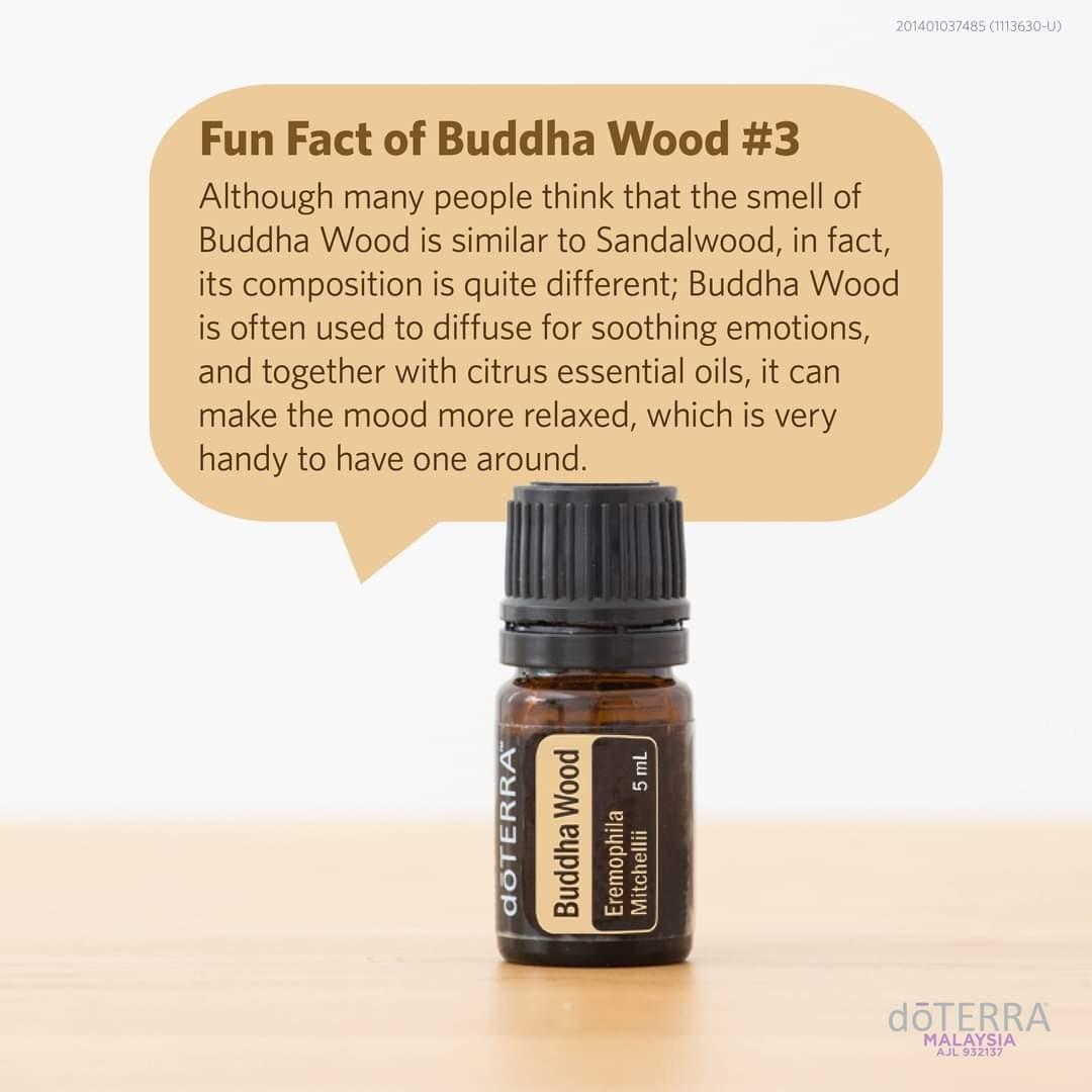 doTERRA Buddha Wood 5ml (Limited Edition), Furniture & Home Living