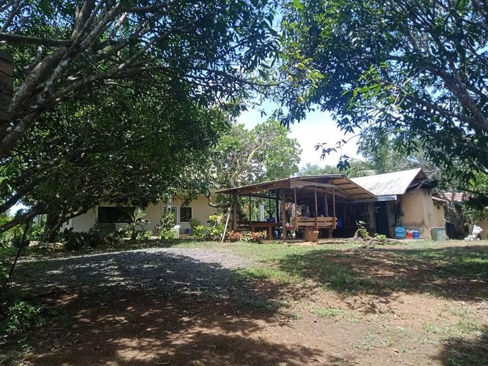 22hectare Farm lot in Guimaras, Property, For Sale, Lot on Carousell